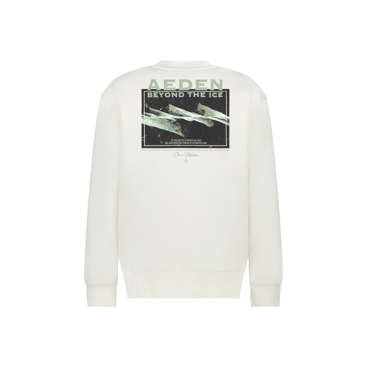AEDEN Bear Sweater