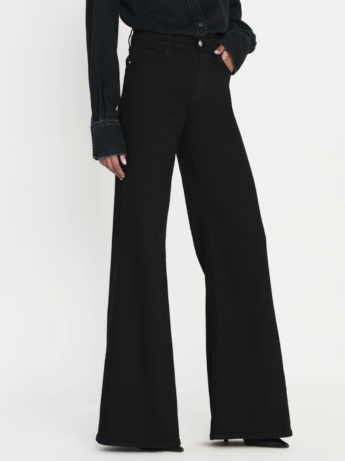 Frame Le Palazzo Pant